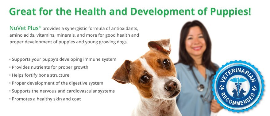 Nuvet Pet Supplements Flier