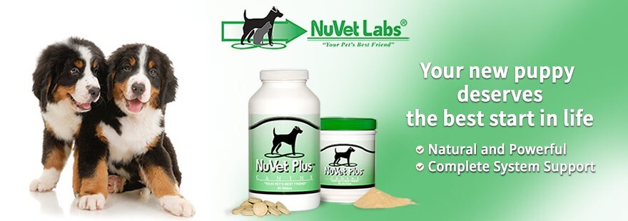 Nuvet Labs Pet Supplements