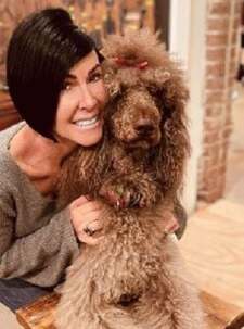 Brown Poodle with the Owner